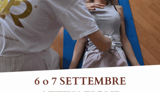 Cream and Brown Photo Wedding Newsletter
