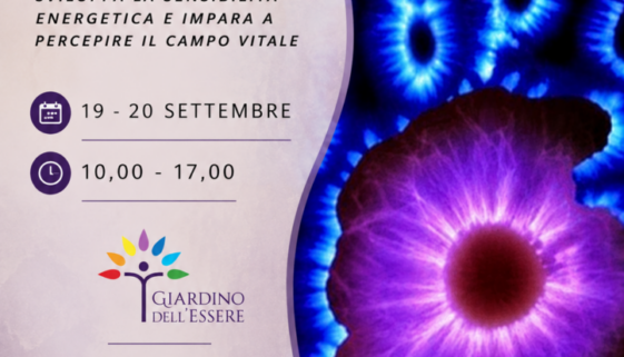 Corso di Pranopratica Livello Base