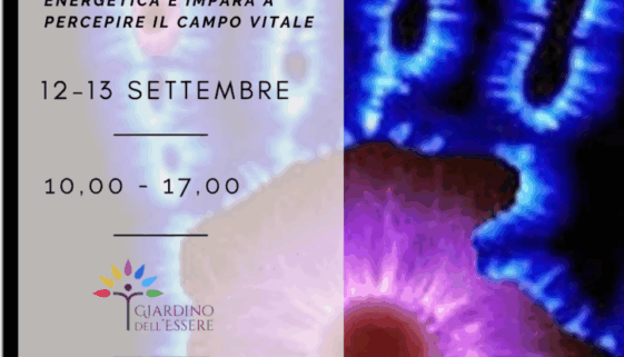 Corso di Pranopratica Base Torino | Sensibilità Energetica